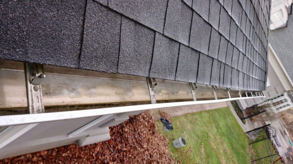Gutter Cleaning